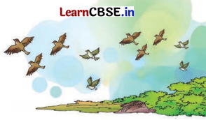 Class 8 Hindi Chapter 7 Question Answer मत बाँधो 16