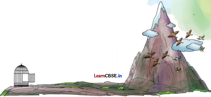 Class 8 Hindi Chapter 7 Question Answer मत बाँधो 2