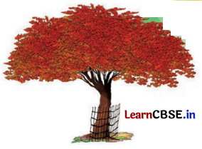 Class 8 Hindi Chapter 7 Question Answer मत बाँधो 6