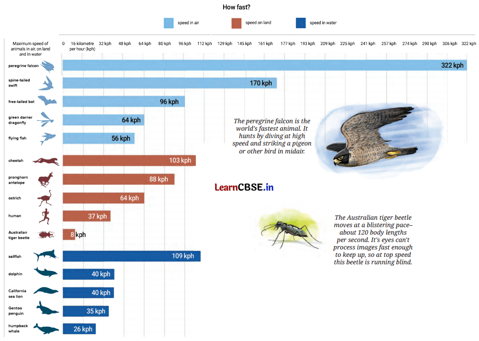 Connecting the Dots Class 7 Solutions Maths Ganita Prakash Part 2 Chapter 5 Page 122 Q1