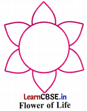 Constructions and Tilings Class 7 Solutions Maths Ganita Prakash Part 2 Chapter 6 Page 154 Q1.5