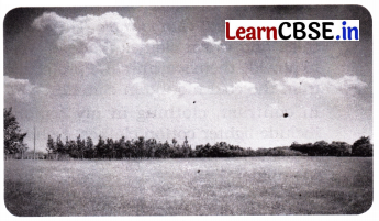 Different Lands, Different Lives Class 4 Question Answer EVS Chapter 9 12