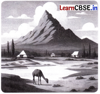 Different Lands, Different Lives Class 4 Question Answer EVS Chapter 9 16