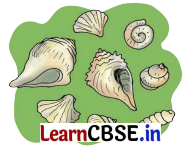 Different Lands, Different Lives Class 4 Question Answer EVS Chapter 9 7