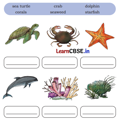 Different Lands, Different Lives Class 4 Question Answer EVS Chapter 9 8