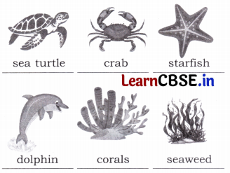 Different Lands, Different Lives Class 4 Question Answer EVS Chapter 9 9