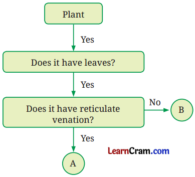 Diversity in the Living World Class 6 Question Answer Science Chapter 2 4