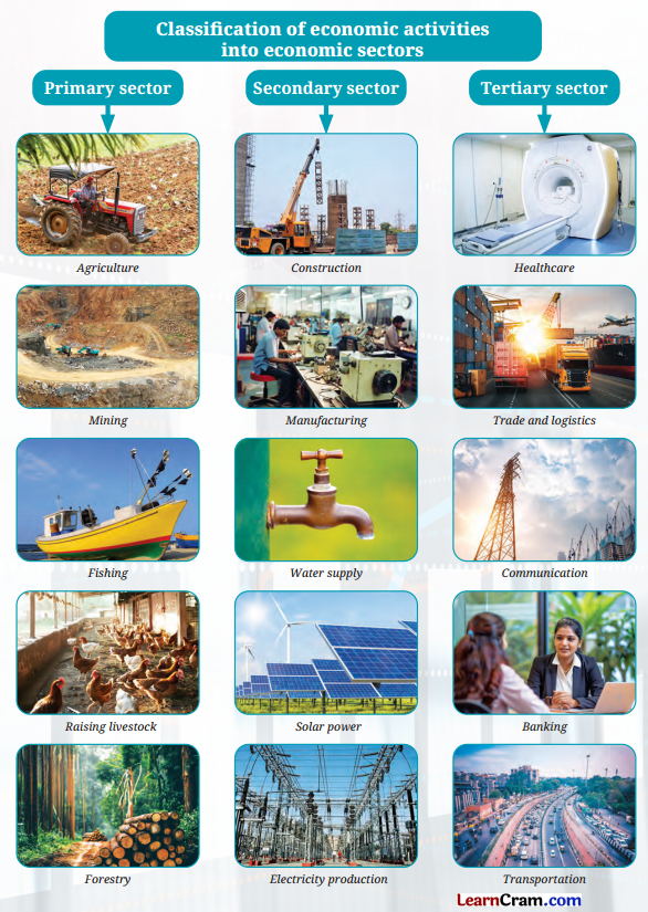 Economic Activities Around Us Class 6 Questions and Answers 1