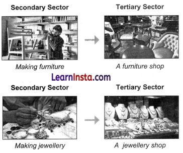 Economic Activities Around Us Class 6 Questions and Answers 4