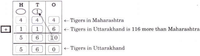 Elephants, Tigers, and Leopards Class 4 Solutions Question Answer Maths Chapter 10 13