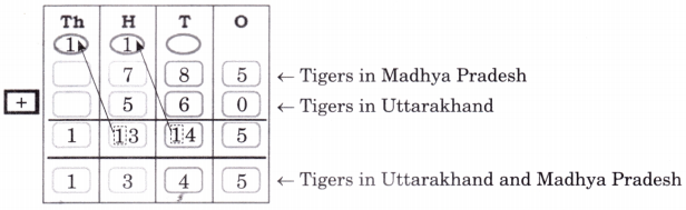 Elephants, Tigers, and Leopards Class 4 Solutions Question Answer Maths Chapter 10 15