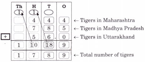Elephants, Tigers, and Leopards Class 4 Solutions Question Answer Maths Chapter 10 17