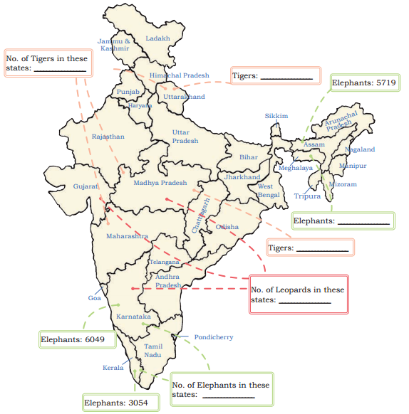 Elephants, Tigers, and Leopards Class 4 Solutions Question Answer Maths Chapter 10 21