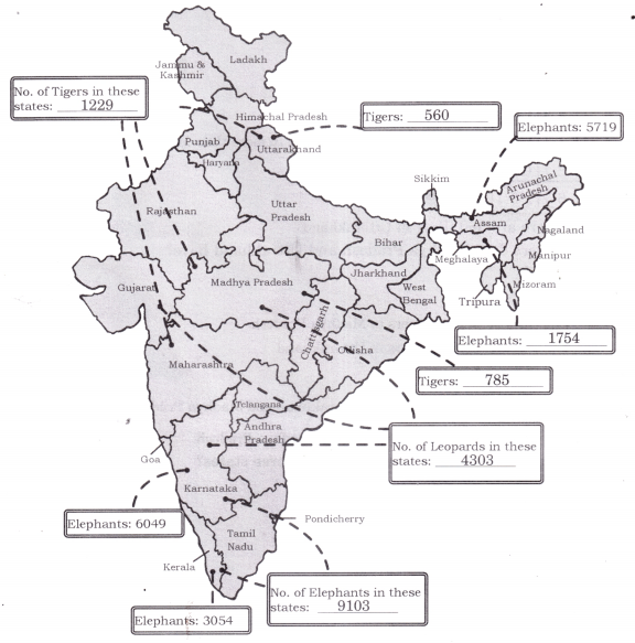 Elephants, Tigers, and Leopards Class 4 Solutions Question Answer Maths Chapter 10 22