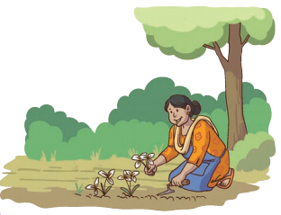 Equal Groups Class 4 Solutions Question Answer Maths Chapter 9 14