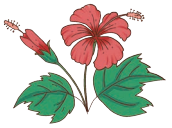 Equal Groups Class 4 Solutions Question Answer Maths Chapter 9 15