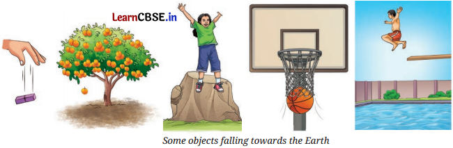 Exploring Forces Class 8 Questions and Answers Science Chapter 5 Activity Q2