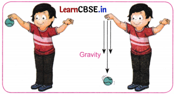 Exploring Forces Class 8 Questions and Answers Science Chapter 5 Intext Q9