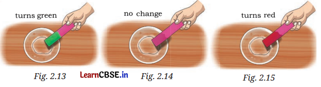Exploring Substances Acidic Basic and Neutral Class 7 Questions and Answers Science Chapter 2-2