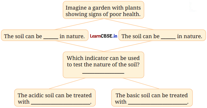 Exploring Substances Acidic Basic and Neutral Class 7 Questions and Answers Science Chapter 2-3