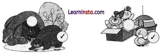 Finding the Furry Cat Class 1 Question Answer Solutions Maths Chapter 1 11