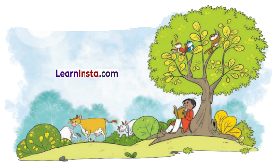 Finding the Furry Cat Class 1 Question Answer Solutions Maths Chapter 1 12