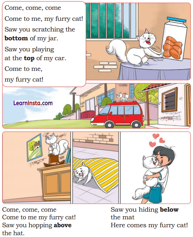 Finding the Furry Cat Class 1 Question Answer Solutions Maths Chapter 1 2
