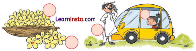 Finding the Furry Cat Class 1 Question Answer Solutions Maths Chapter 1 8