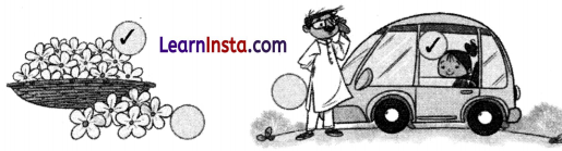 Finding the Furry Cat Class 1 Question Answer Solutions Maths Chapter 1 9