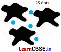 Finding the Unknown Class 7 Solutions Maths Ganita Prakash Part 2 Chapter 7 Page 185 Q3