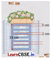 Finding the Unknown Class 7 Solutions Maths Ganita Prakash Part 2 Chapter 7 Page 185 Q8