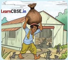 From Barter to Money Class 7 Questions and Answers Social Science Chapter 11 - 4