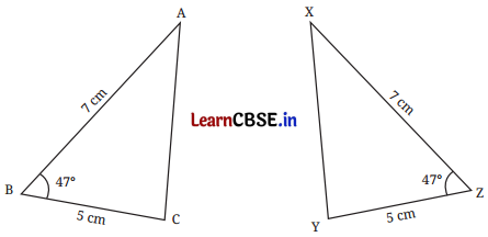 Geometric Twins Class 7 Solutions Maths Ganita Prakash Part 2 Chapter 1 Page 13 Q1