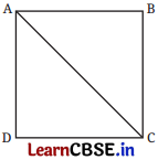 Geometric Twins Class 7 Solutions Maths Ganita Prakash Part 2 Chapter 1 Page 20 Q4