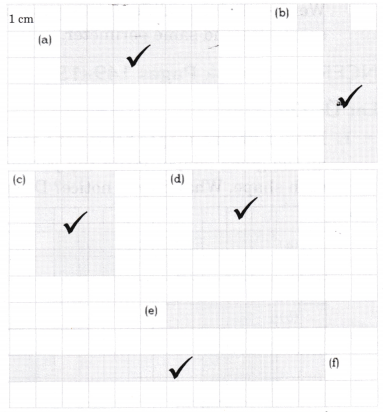 Grandmother’s Quilt Class 5 Solutions Question Answer Maths Chapter 11 14