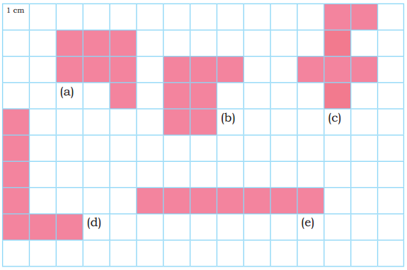Grandmother’s Quilt Class 5 Solutions Question Answer Maths Chapter 11 15
