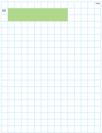 Grandmother’s Quilt Class 5 Solutions Question Answer Maths Chapter 11 16