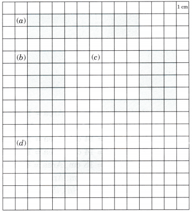 Grandmother’s Quilt Class 5 Solutions Question Answer Maths Chapter 11 17