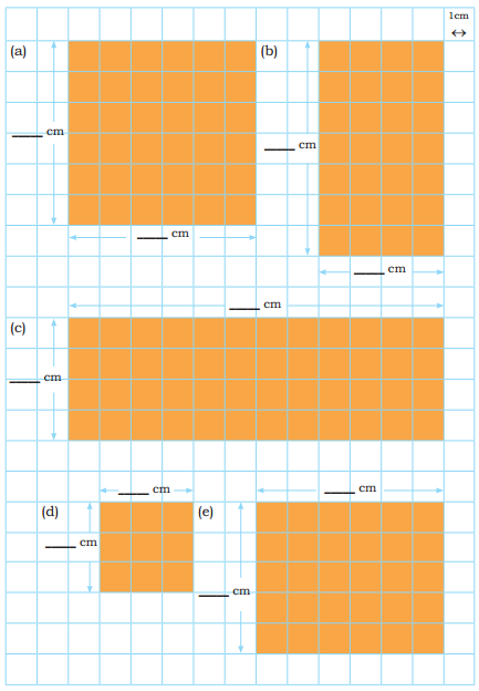 Grandmother’s Quilt Class 5 Solutions Question Answer Maths Chapter 11 19