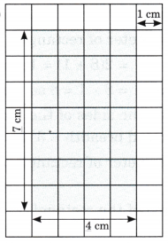 Grandmother’s Quilt Class 5 Solutions Question Answer Maths Chapter 11 21