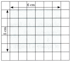 Grandmother’s Quilt Class 5 Solutions Question Answer Maths Chapter 11 24