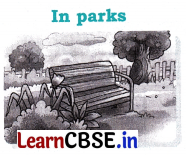 Growing up with Nature Class 4 Question Answer EVS Chapter 4 13