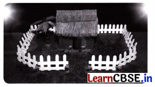 Growing up with Nature Class 4 Question Answer EVS Chapter 4 2