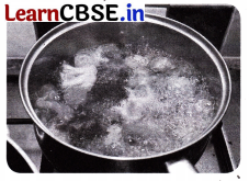 Growing up with Nature Class 4 Question Answer EVS Chapter 4 4