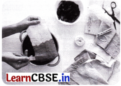 Growing up with Nature Class 4 Question Answer EVS Chapter 4 5