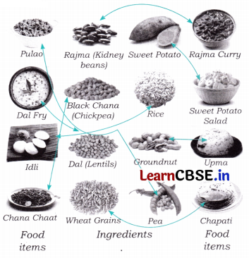 Happy and Healthy Living Class 4 Question Answer EVS Chapter 6 3