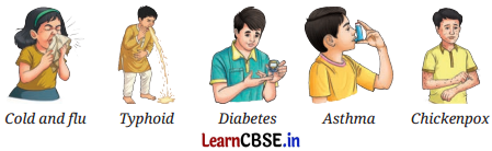 Health The Ultimate Treasure Class 8 Questions and Answers Science Chapter 3 Q1