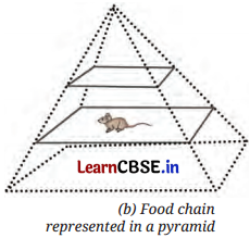 How Nature Works in Harmony Class 8 Questions and Answers Science Chapter 12 Activity Q7.1
