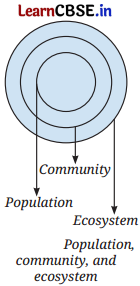 How Nature Works in Harmony Class 8 Questions and Answers Science Chapter 12 Q1