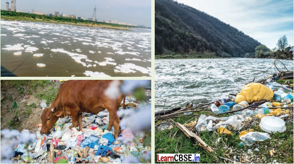 How the Land Becomes Sacred Class 7 Questions and Answers Social Science Chapter 8 - 5